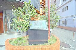 15 / 32