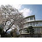 小学校「飯田市立浜井場小学校まで884ｍ」