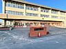 周辺：【小学校】 800m