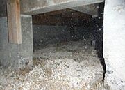 中古住宅の3大リスクである、雨漏り、主要構造部分の欠陥や腐食、給排水管の漏水や故障を2年間保証します。その前提で床下まで確認し、シロアリの被害調査と防除工事も行います