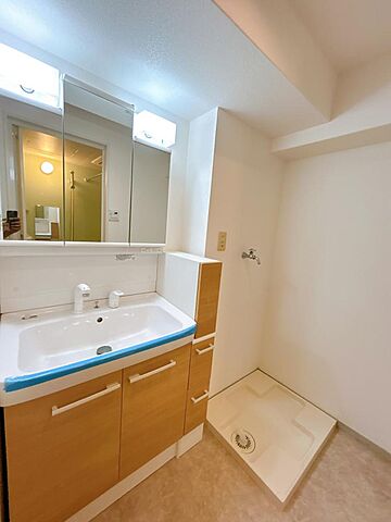 洗面 セントラルヒルズ高崎 13階/-