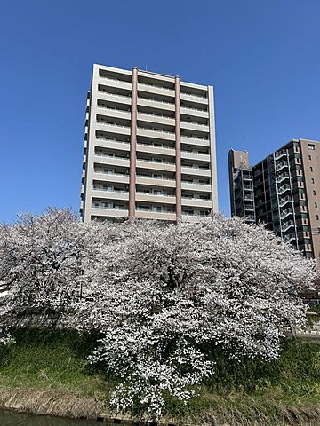 リビング/ダイニング サンシティ川端 5階/-