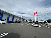 【周辺環境】ペットステップ松山余戸店まで約1100m（車約3分）。ペットと一緒にお買い物できます。