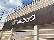 マルショク健軍店まで550ｍ徒歩8分。