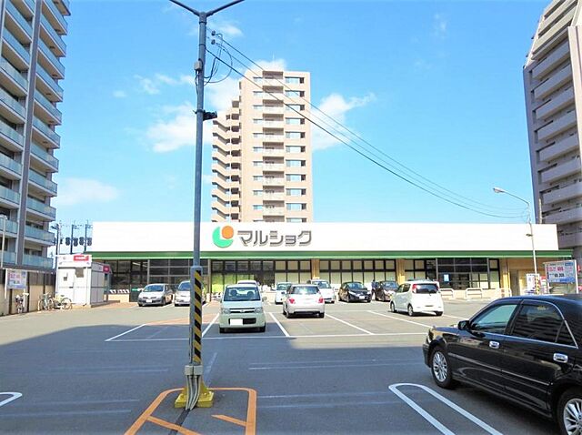 周辺 Ｍ＆Ｍ長浜 13階/-