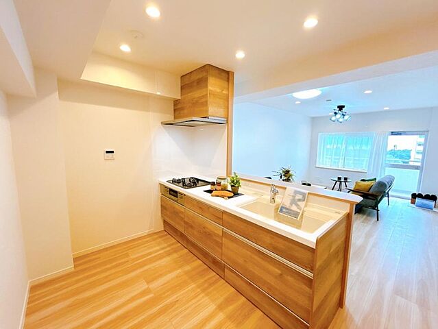 キッチン 小田急サンシティ鴨池2号棟 5階/-