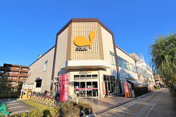 画像25:【スーパー】ダイエー浦安駅前店まで833ｍ