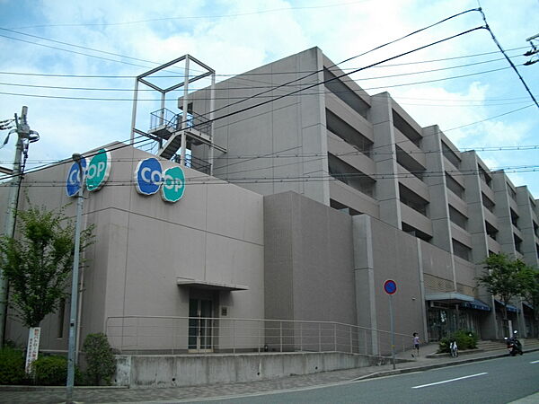 兵庫県西宮市樋之池町(賃貸マンション1LDK・3階・56.33㎡)の写真 その10