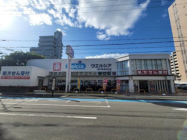 画像23:【ドラッグストア】ウエルシア神戸魚崎北町店まで313ｍ
