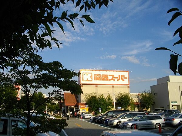画像29:【スーパー】関西スーパー 大社店まで1054ｍ