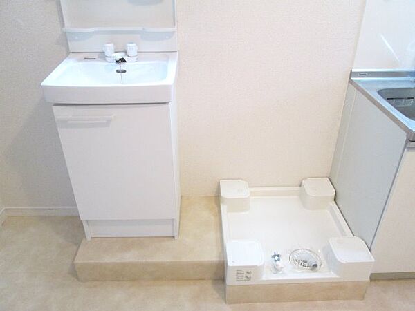 画像21:洗面台・室内洗濯機置き場