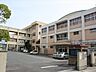 周辺：【小学校】明石市立　花園小学校まで340ｍ