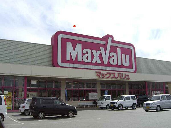 画像29:【スーパー】マックスバリュ 岡田店まで502ｍ