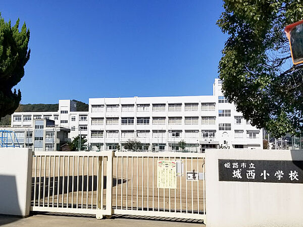 画像23:【小学校】姫路市立城西小学校まで319ｍ