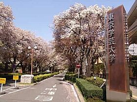 東京都国分寺市南町１丁目（賃貸アパート1R・2階・17.00㎡） その19