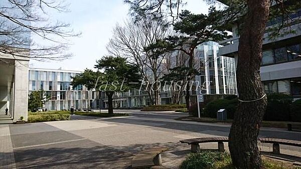 画像17:私立東京経済大学 965m