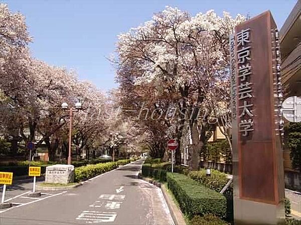 東京都小金井市桜町２丁目(賃貸アパート1K・1階・23.08㎡)の写真 その19