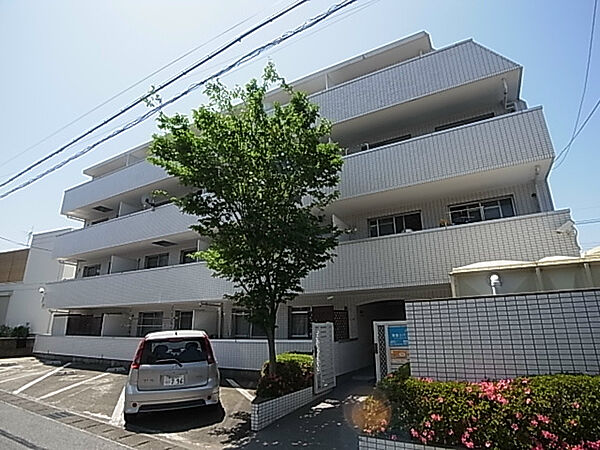 ハイネス松戸 205｜千葉県松戸市中根(賃貸マンション1LDK・2階・33.99㎡)の写真 その1