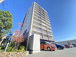 フェリス　コート