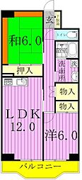シラカワパレス 2LDKの間取図画像