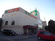 ライフ松戸二十世紀ケ丘店（296m）