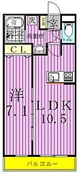 L'etoile南流山 1LDKの間取図画像