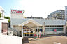 周辺：リブレ京成 小金原店（309m）