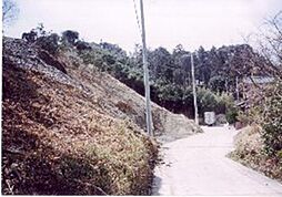 物件画像 岬町和泉　高台から海望む山林