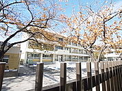 葛飾区立道上小学校（477m）