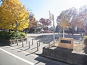 東谷中公園（523m）