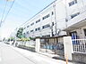 周辺：葛飾区立白鳥小学校（548m）
