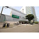 ショッピングセンター「COOP　MIYAGI柏木店まで317ｍ」