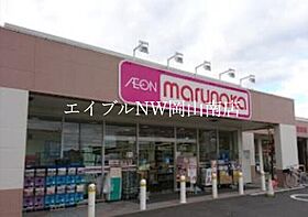 岡山県岡山市南区新保（賃貸マンション3LDK・1階・67.41㎡） その22