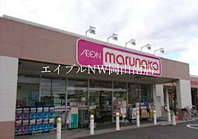 岡山県岡山市南区西市（賃貸アパート1LDK・2階・42.15㎡） その10