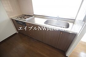 アルファステイツ野田  ｜ 岡山県岡山市北区野田5丁目（賃貸マンション3LDK・4階・70.15㎡） その5