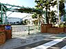 周辺：江戸川区立鹿本小学校 徒歩10分。 730m