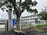 周辺：若園小学校まで960m　徒歩約12分