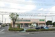 コープ東岩槻店（1510m）