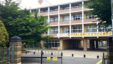 さいたま市立大谷場中学校(257m)