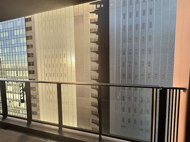 バルコニー シティタワー新宿 29階/-
