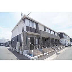 ノースグレイス 101