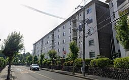 物件画像 藤阪ハイツ 1階 2LDK 専用庭付き