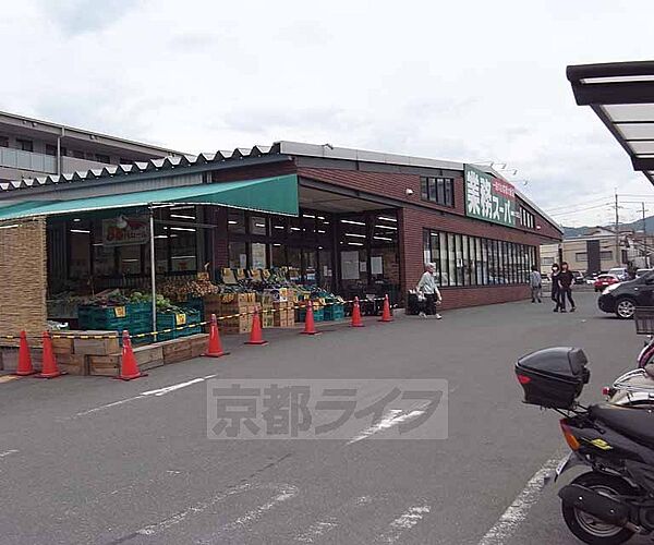 画像25:業務スーパー 太秦店まで346m 丸太町通りのマツモトを目印に その道挟んで隣です