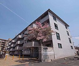 メゾンドール京ノ道 302 ｜ 京都府京都市右京区太秦京ノ道町（賃貸マンション3LDK・3階・60.97㎡） その1