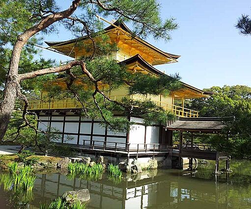 A-mon金閣寺NEKI_周辺_0