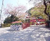 菊の花幼稚園まで450m
