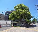 京都先端科学大学（太秦）まで1564m