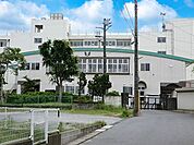 中学校 1800m 松戸市立小金南中学校