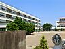 周辺：小学校 280m 川口市立芝小学校