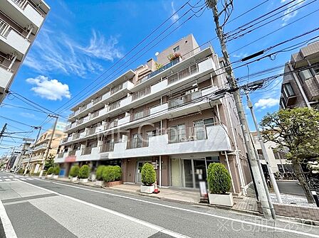 溢れる陽光でご家族の笑顔も輝く